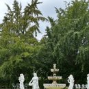 안나애견 | [태안 카페] 안나앤틱카페/ 계절마다 가기 좋은 유럽풍 애견동반 앤틱카페 찐 후기