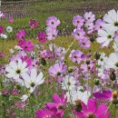 선물같은시간 이미지