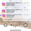 정연F&S | 9월은 계절의 테두리