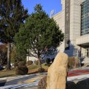 내곡동 사지 석조여래입상 이미지