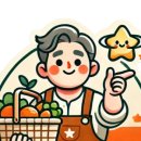 사과집 | 아삭하고 달콤한 꿀사과 후기 집에서 즐기는 신선함