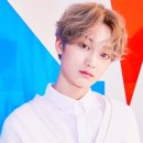 태영