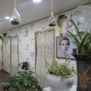 가인스킨샵 이미지