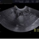 다은동물병원 이미지