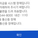 지금 신한 쏠 어플 저만 안되나요?ㅠㅠ 이미지