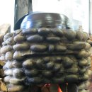 용바위식당 이미지