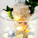 삼죽초교병설유치원 이미지