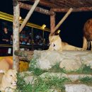 대전오월드 이미지