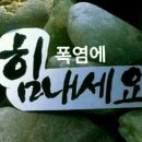 하나 둘 셋 Daum카페