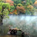주산지 Daum카페