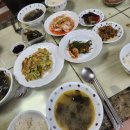 송화로42번길일부구간(송화로42번길2 ~ 송화로42번길24) | 백수일기🐔⑦