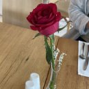 라라스테이션 | [강원도 여행2(강릉)] - 수영장이 너무 좋았던 씨마크 호텔, 수영장, 조식 솔직 후기