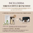 인셀덤메인 네이버블로그