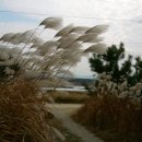 햇님한의원 이미지