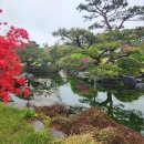 갈멜사슴농원 이미지