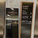 더엠브로시아 이미지