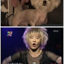 왈왈그루밍 이미지