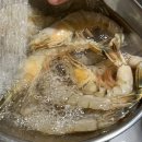 [자연수산] 첫 자연산 암대하 | 사이즈 미쳤다