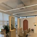 헤어도로시 이미지