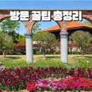 뉴스카이(주) | 순천만국가정원 모노레일 식물원 입장료 할인 꿀팁 5월 방문 후기