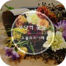 오블리비아떼 이미지