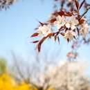 학운공원 쪽 이미지