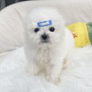 여의축산 이미지