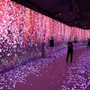 김해낙동강레일파크 이미지