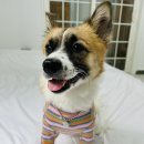 멍문(moon) 이미지