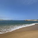 참새둥지야영장 이미지