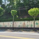 음성종합운동장 이미지