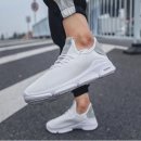 521 이미지