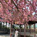 선동 경로당 이미지