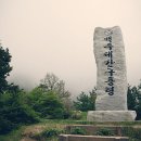 구룡령 옛길 이미지