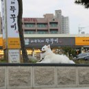 바보형제 쭈꾸미 이미지