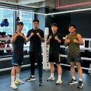 헐크복싱 이미지