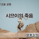 9월 8일(금) 시므이의 죽음 이미지