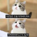 [독립문 영천시장]도깨비 칼국수 내돈내산 후기