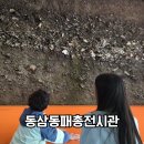 부산 동삼동 패총 | 부산 동삼동 패총 전시관 신석기 유적과 문화보기