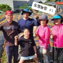 도영 농장 이미지