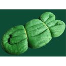 녹색세차장 이미지