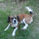 솔비농장 이미지