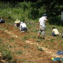 우천면사무소 이미지