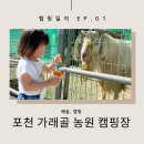 창수면사무소 화장실 | [캠핑일지] EP01. 좌충우돌 첫캠핑, 포천 가래골 농원 캠핑장, A구역 후기