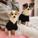 허니바우 이미지