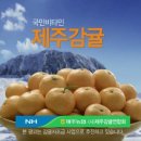 감귤PC 이미지