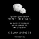 M. 유소년스포츠센타 SBS Biz