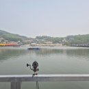 동검낚시터 | 강화 동검바다 낚시터 방문 후기 가격 조항 어종