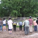 스테이나무 이미지