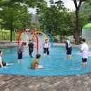 천동물놀이장 이미지